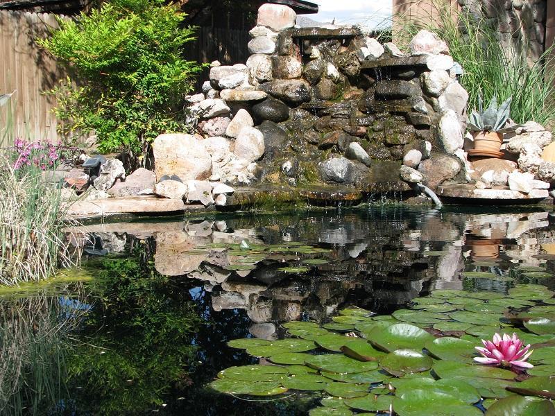 Mountain Valley Lodge Rodeo Ngoại thất bức ảnh